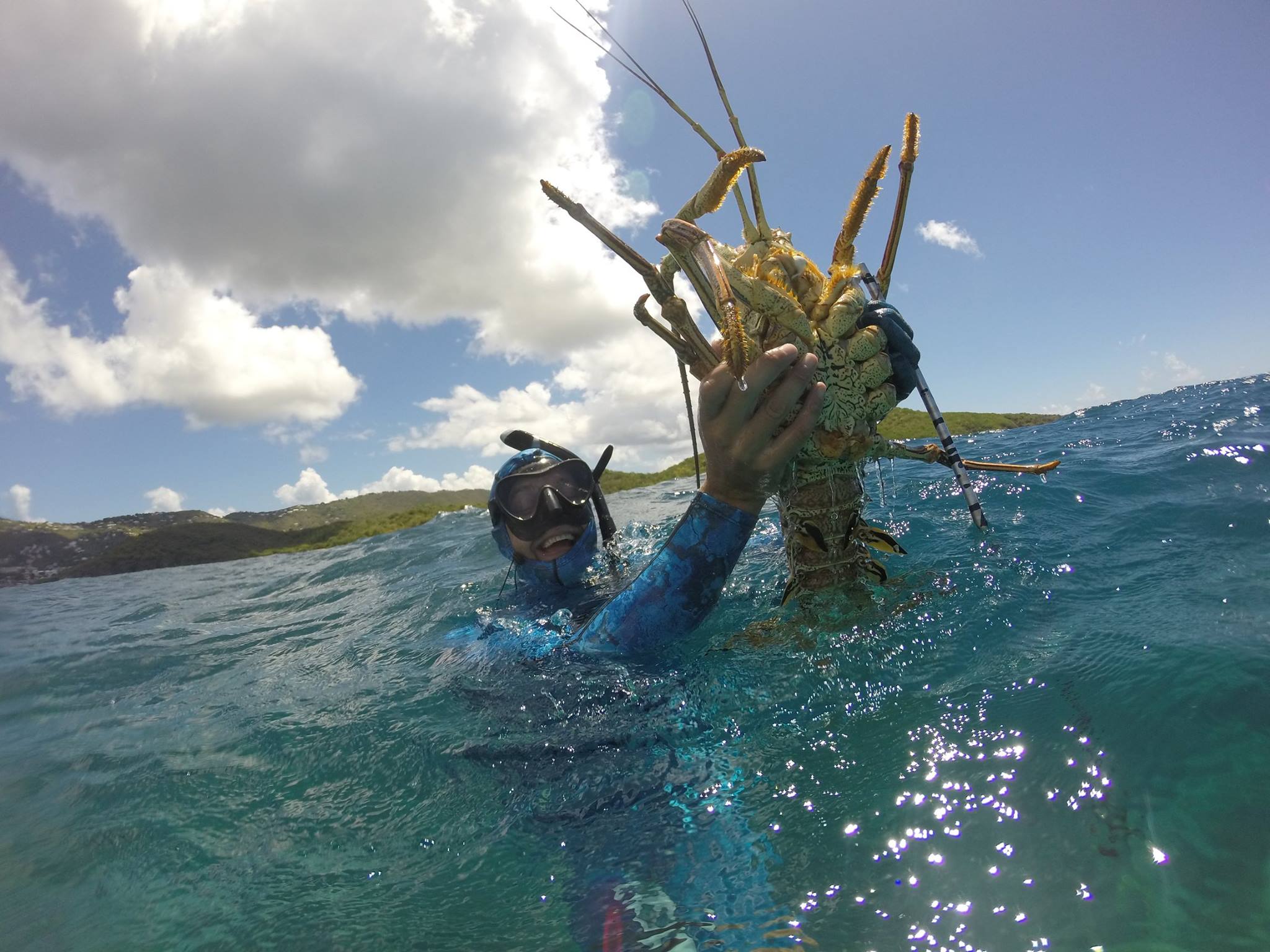 lobster hunt st thomas